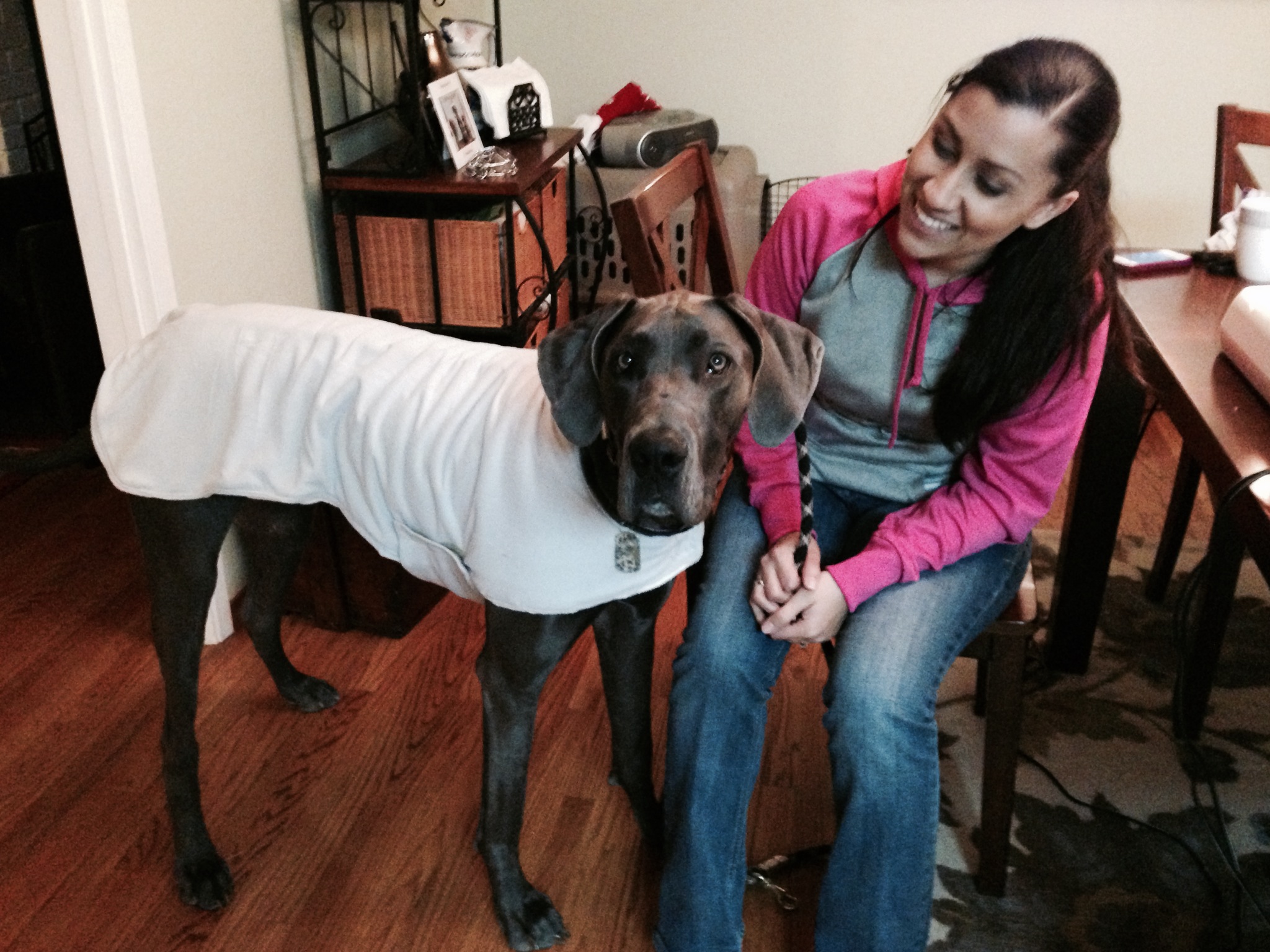 great dane sweaters for dogs